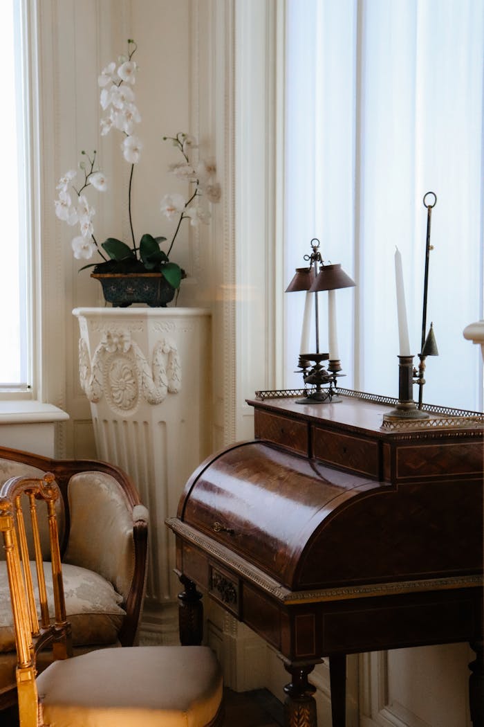 A vintage room featuring wooden furniture, orchids, and classic decor elements, creating an elegant atmosphere.